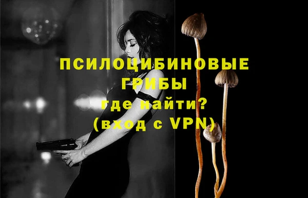 мяу мяу мука Арсеньев