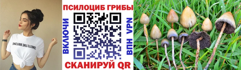 Галлюциногенные грибы MAGIC MUSHROOMS  Мытищи 